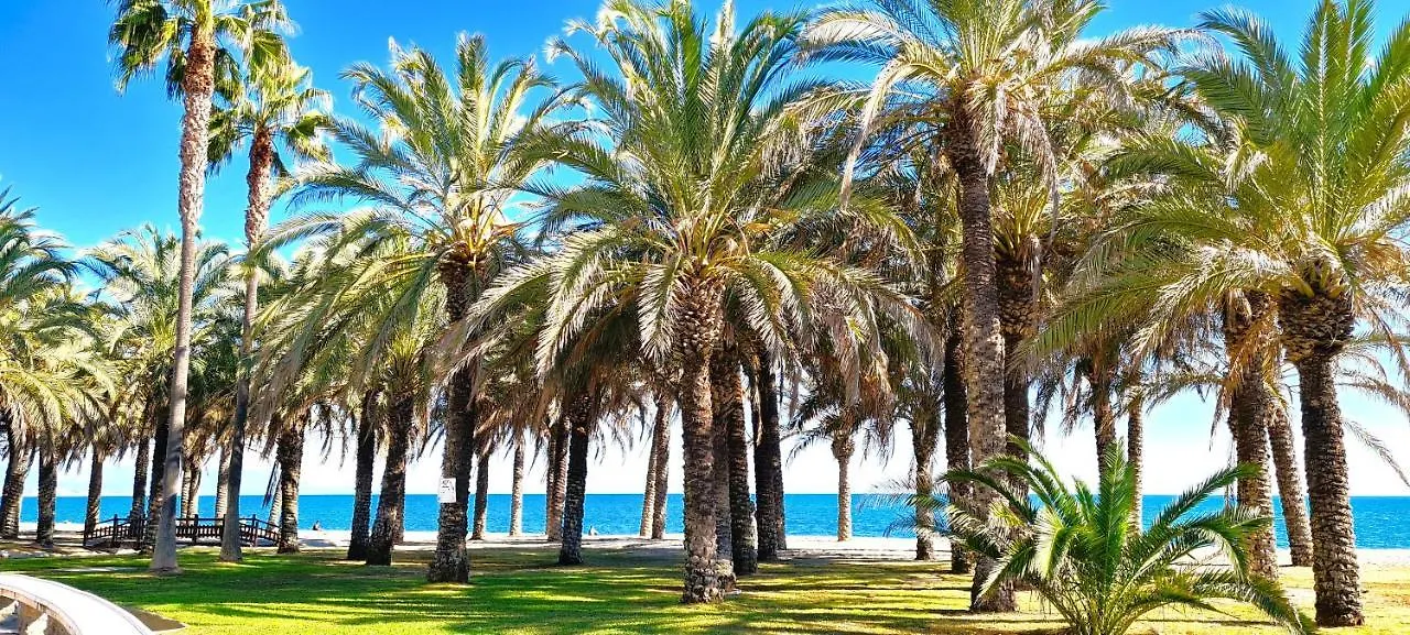 Vista Azul No1 location